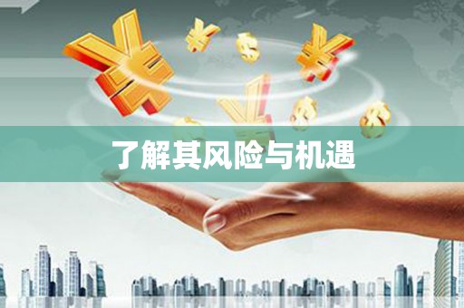 基隆了解其风险与机遇