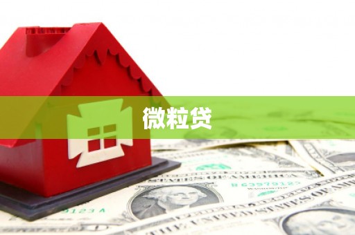 基隆微粒贷
