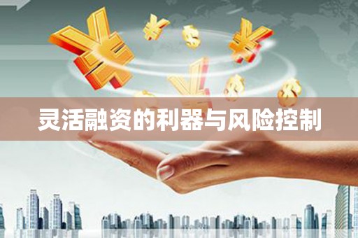 基隆灵活融资的利器与风险控制