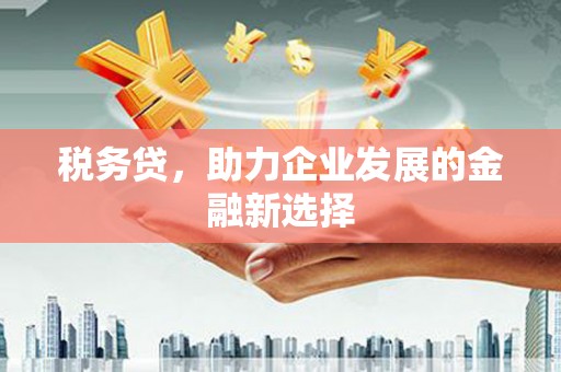 基隆税务贷，助力企业发展的金融新选择