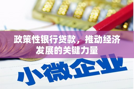 基隆政策性银行贷款，推动经济发展的关键力量