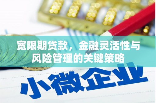 基隆宽限期贷款，金融灵活性与风险管理的关键策略