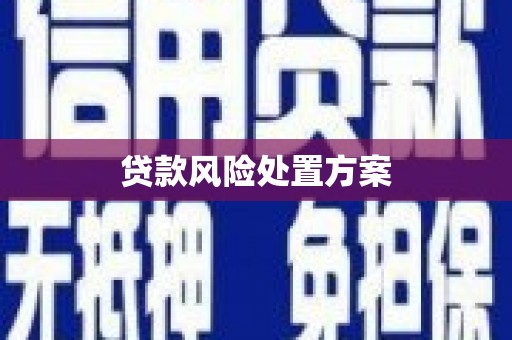 基隆贷款风险处置方案