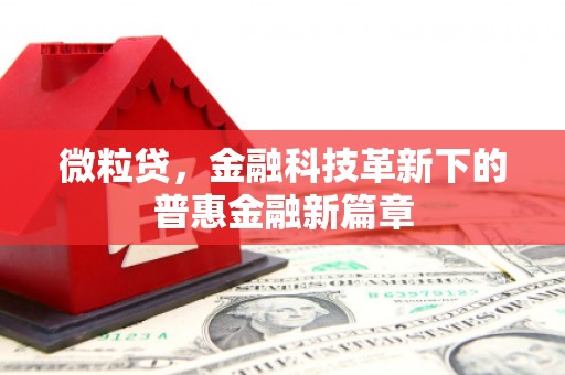 基隆微粒贷，金融科技革新下的普惠金融新篇章
